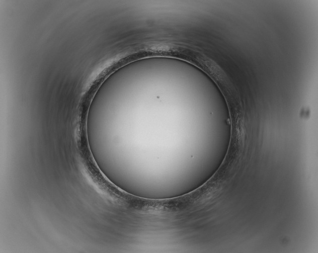 X0000113560728200910021554