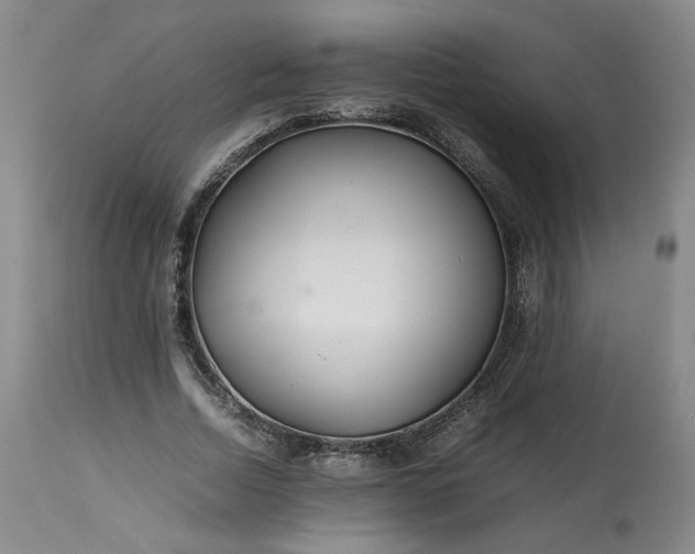 X0000113560730200910021554