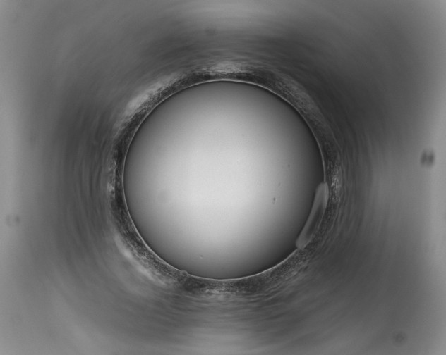 X0000113560732200910021554