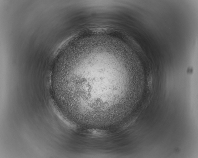 X0000113560733200910021554