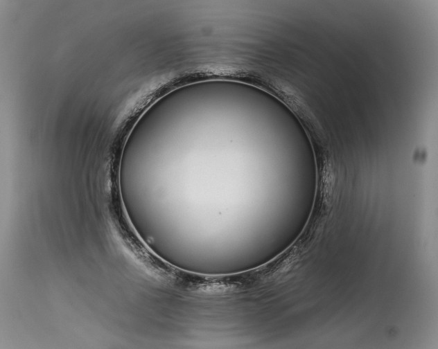 X0000113560734200910021554
