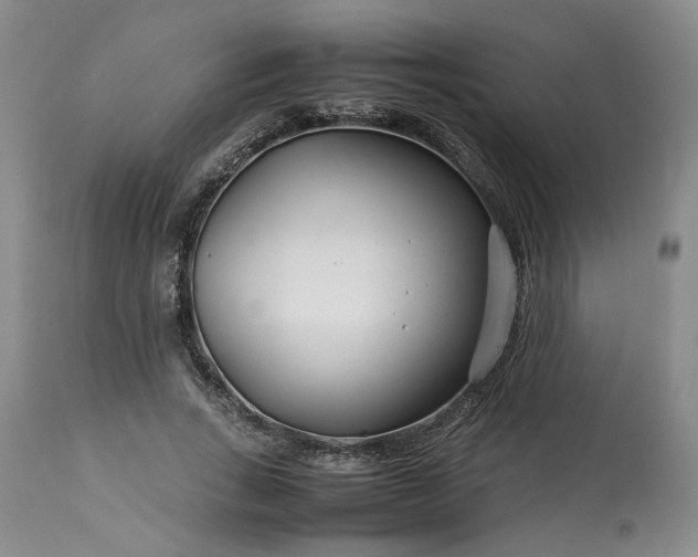 X0000113560735200910021554