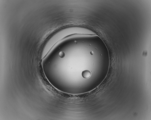X0000113560736200910021554