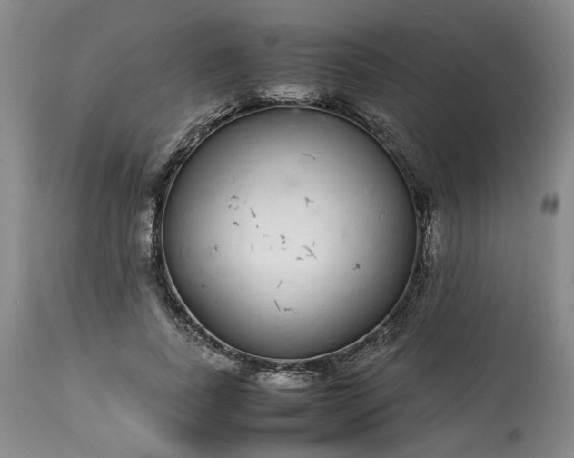 X0000113560739200910021554