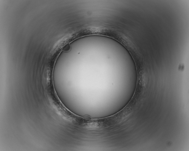 X0000113560740200910021554