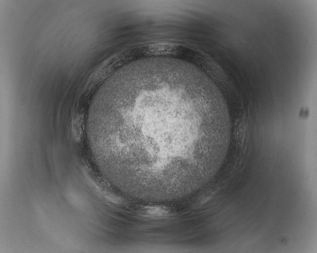 X0000113560741200910021554
