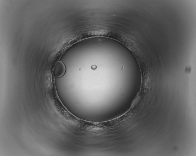 X0000113560743200910021554