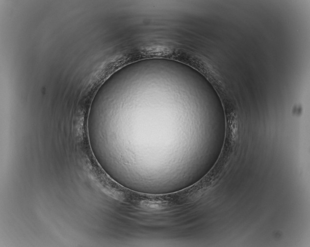 X0000113560745200910021554