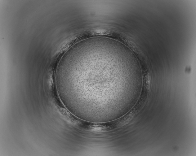 X0000113560746200910021554
