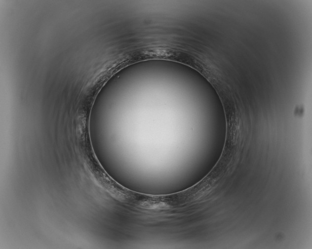X0000113560747200910021554