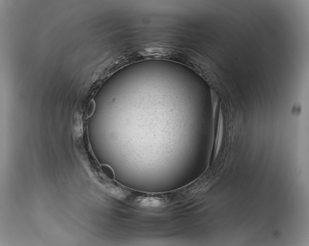 X0000113560751200910021554