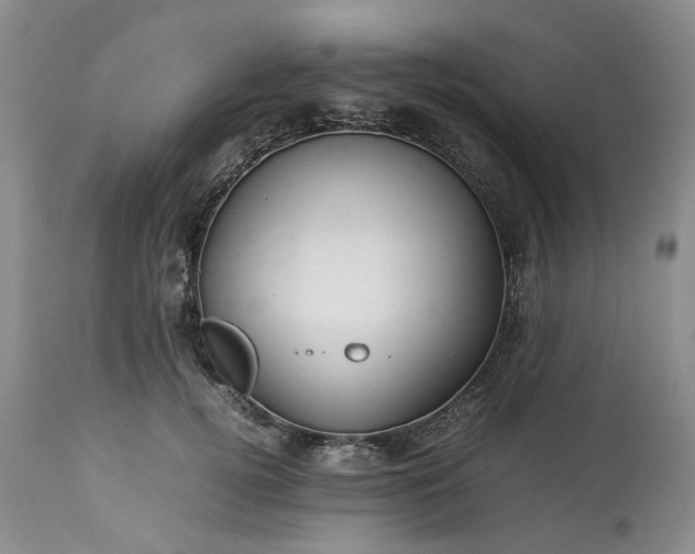 X0000113560752200910021554