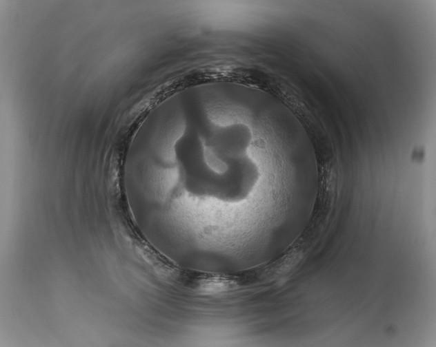 X0000113560754200910021554