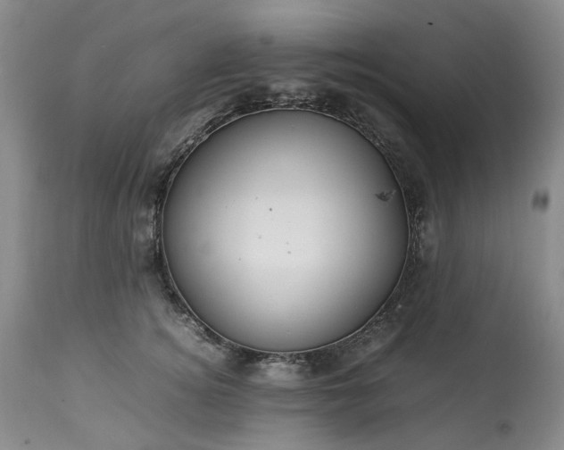 X0000113560756200910021554