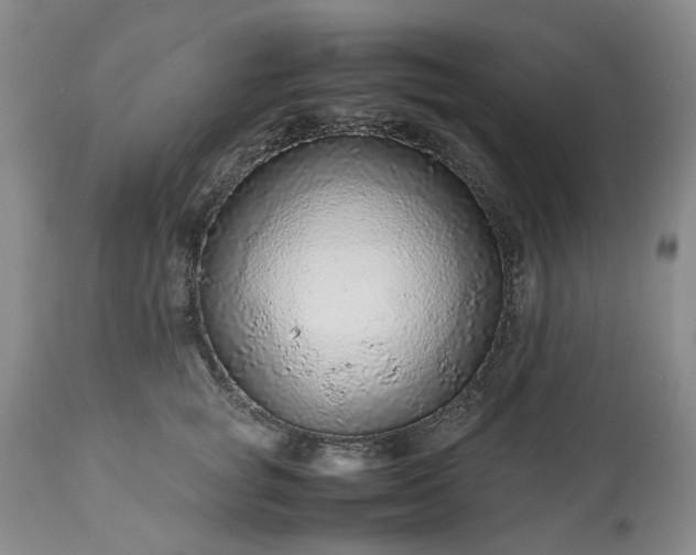 X0000113560757200910021554