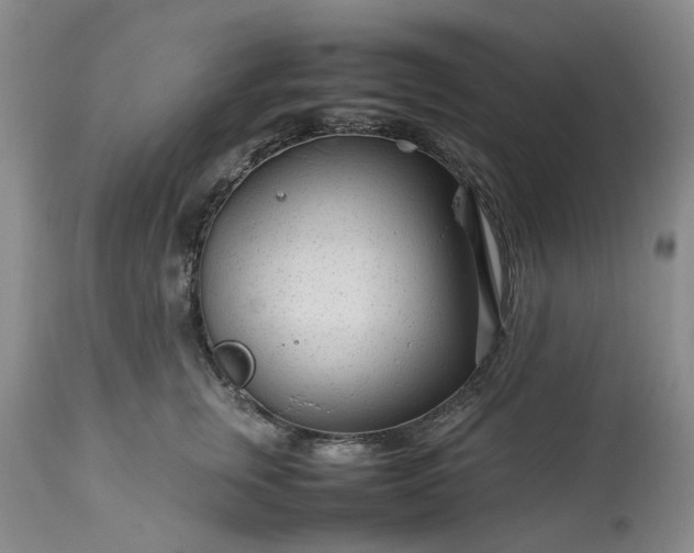 X0000113560759200910021554