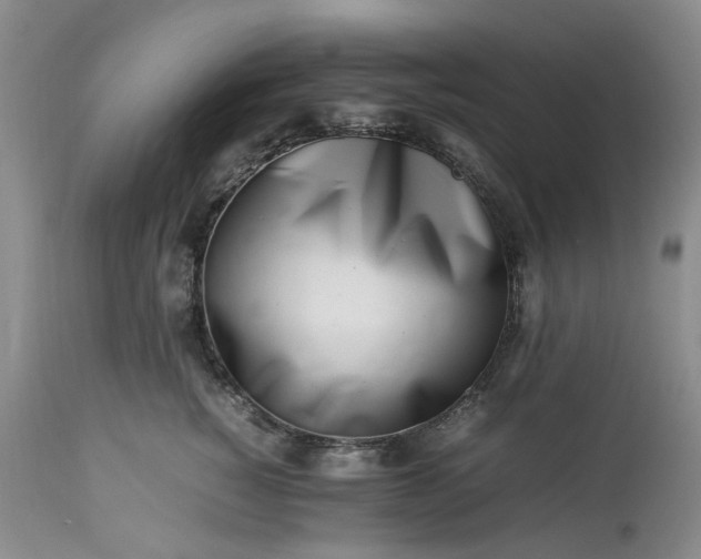 X0000113560760200910021554