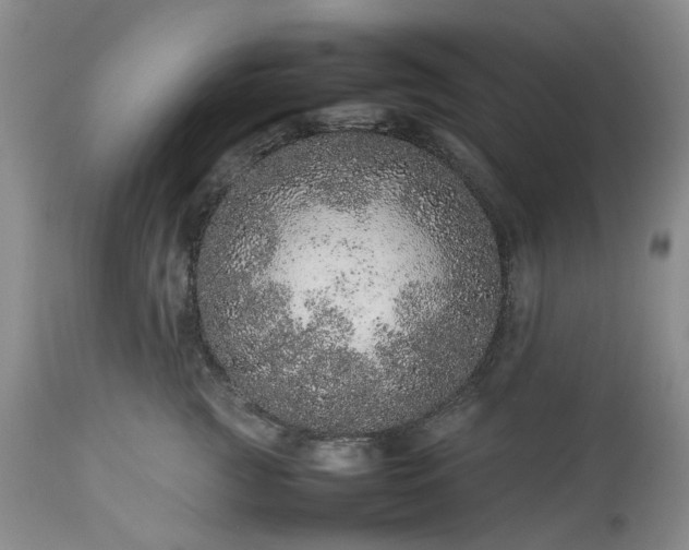 X0000113560761200910021554