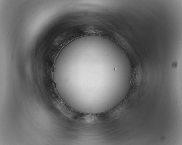 X0000113560762200910021554