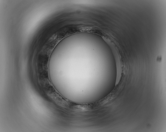 X0000113560763200910021554