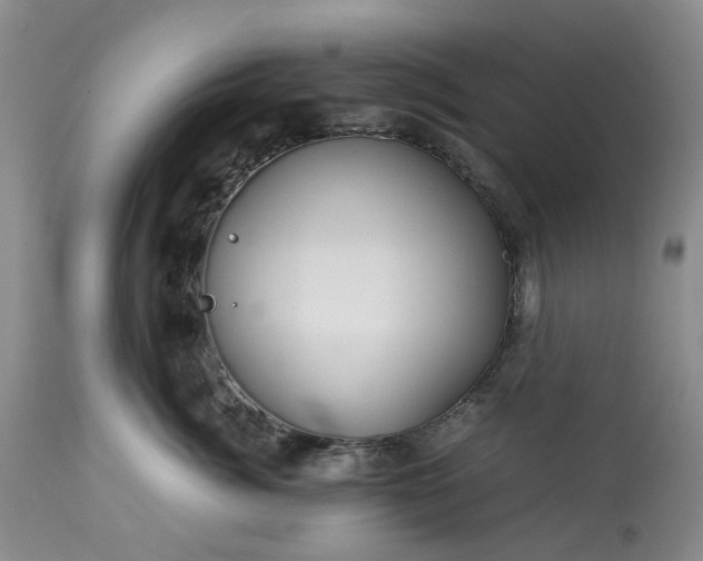 X0000113560764200910021554