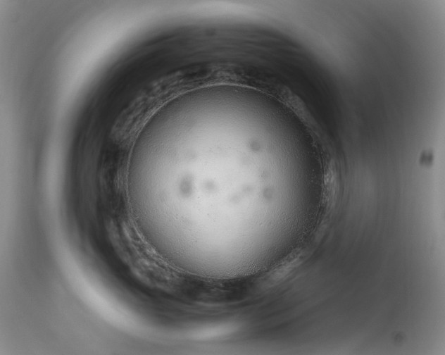 X0000113560765200910021554