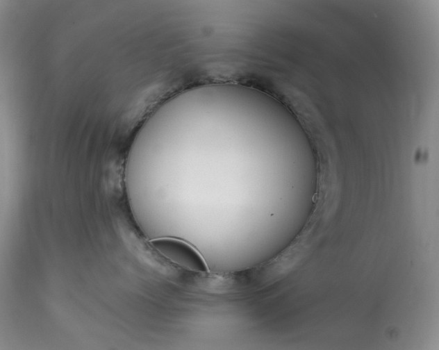 X0000113560768200910021554
