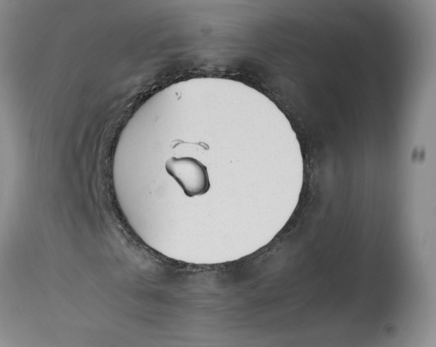 X0000113560769200910021554