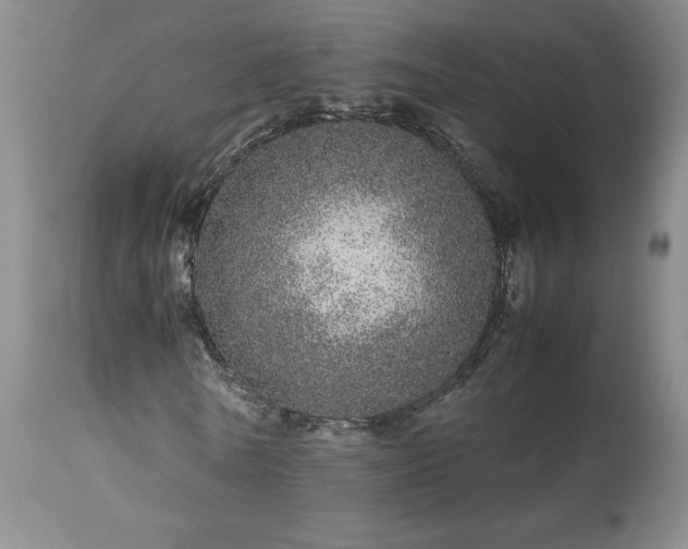 X0000113560770200910021554