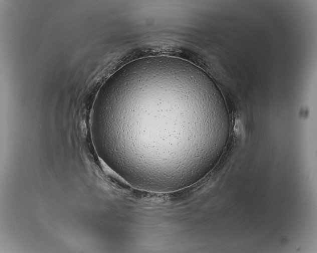X0000113560771200910021554