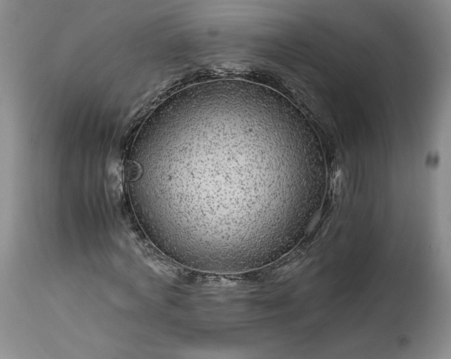 X0000113560772200910021554