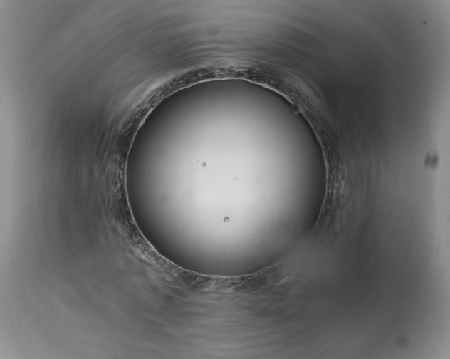 X0000113560773200910021554