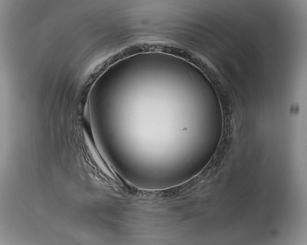 X0000113560775200910021554