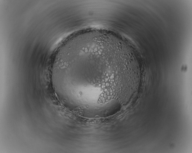 X0000113560776200910021554