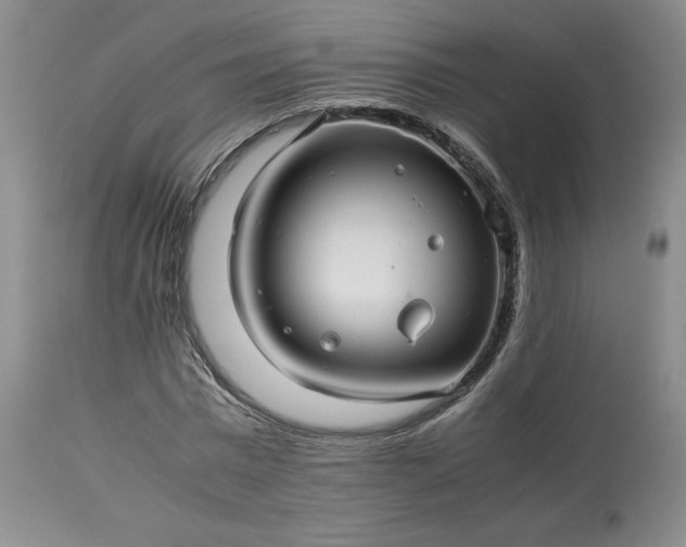 X0000113560777200910021554