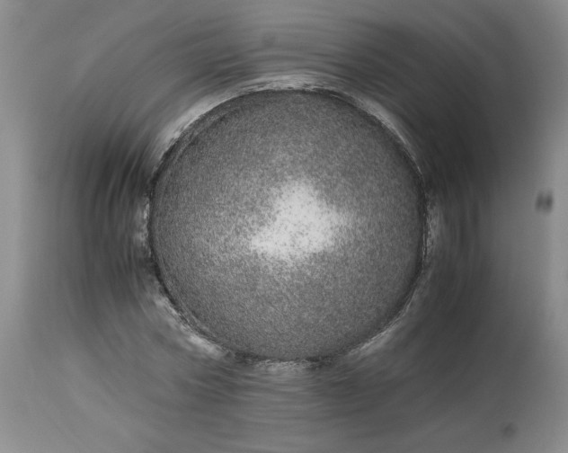X0000113560778200910021554