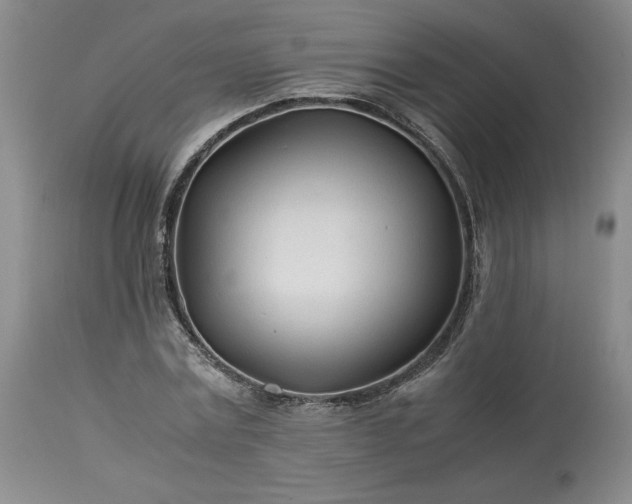 X0000113560779200910021554