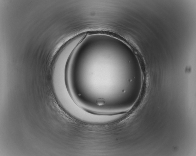 X0000113560781200910021554
