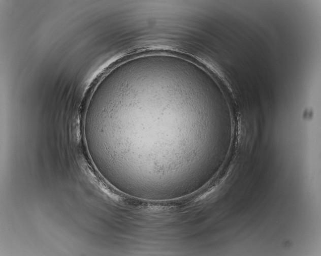 X0000113560782200910021554