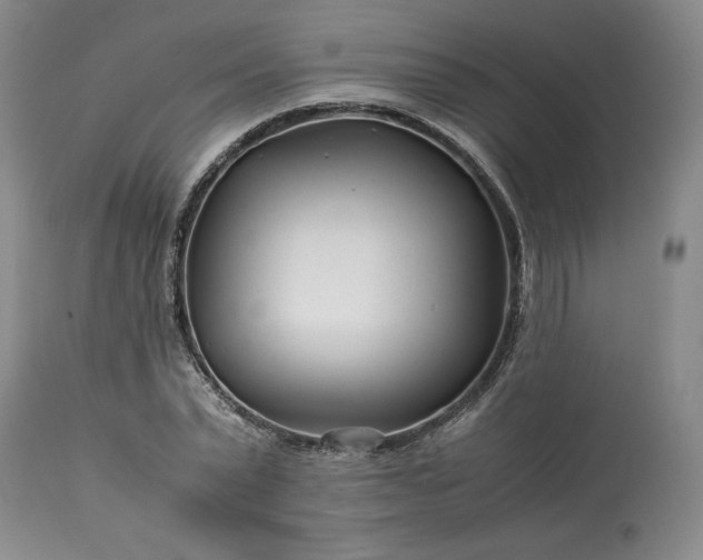X0000113560783200910021554