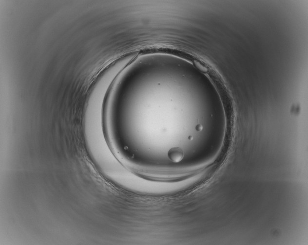 X0000113560785200910021554