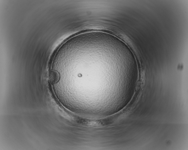 X0000113560787200910021554