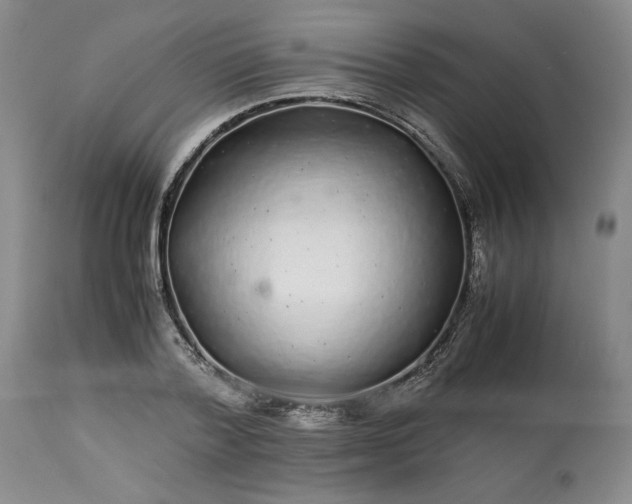 X0000113560788200910021553