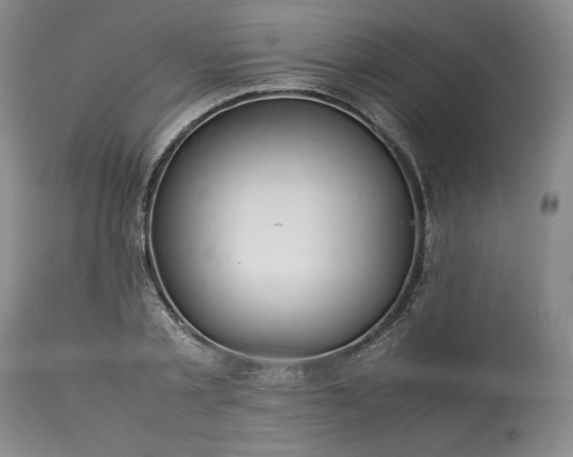 X0000113560789200910021553