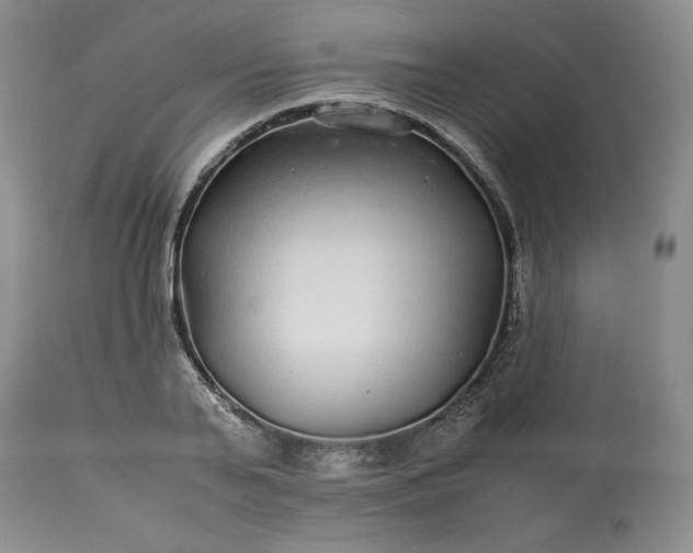 X0000113560791200910021553