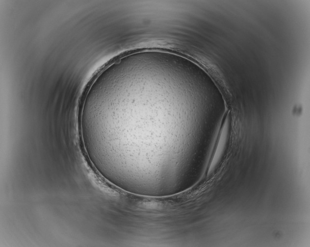 X0000113560792200910021553