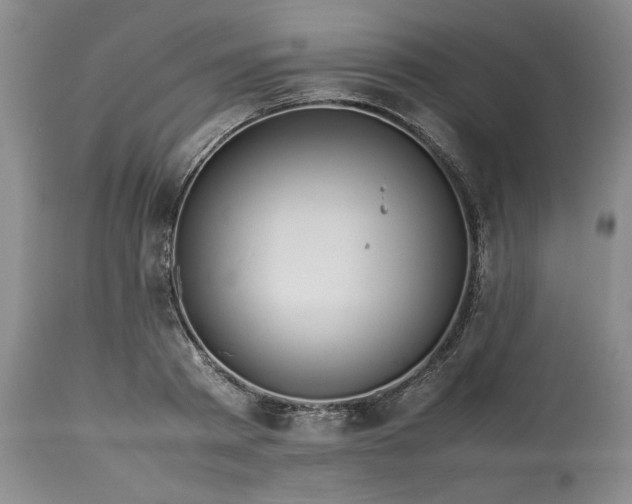 X0000113560793200910021553