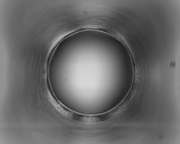 X0000113560795200910021553