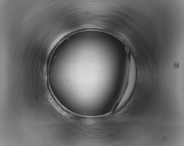 X0000113560796200910021553