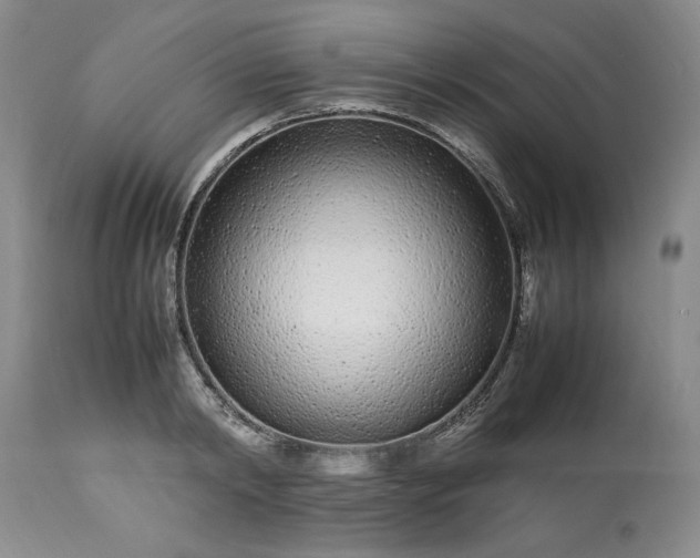 X0000113560798200910021553